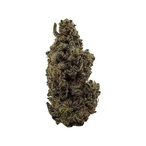 Cali X Mango CBD He
