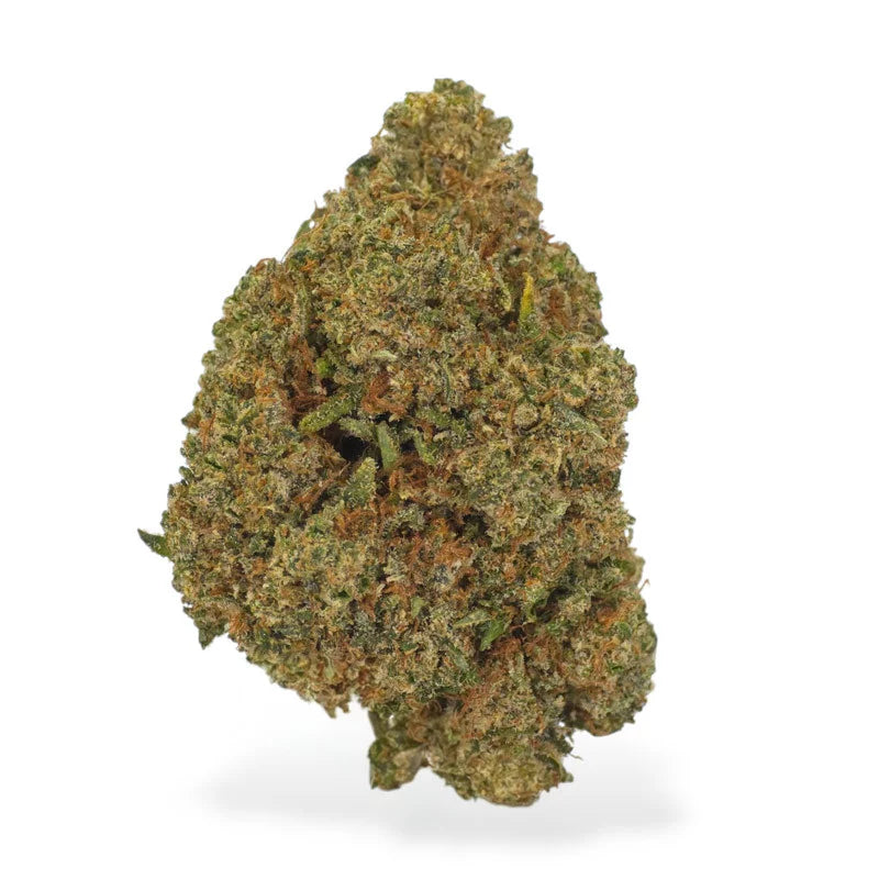 Passion Fruit Indoor CBD