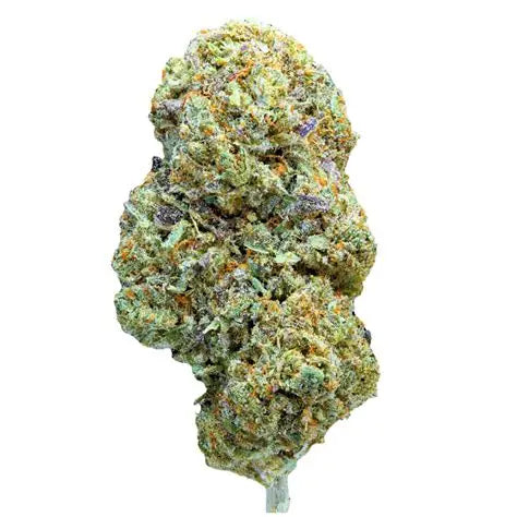 Snow Cake Indoor CBD