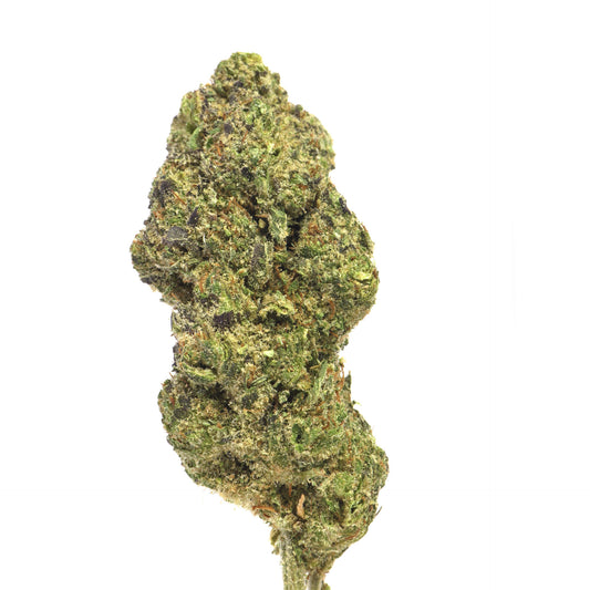 Zushi Indoor CBD