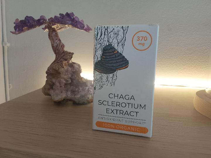Chaga Cápsulas | Hongo Adaptógeno