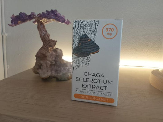 Chaga Cápsulas | Hongo Adaptógeno