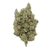 Orange Sorbet Hydro CBD