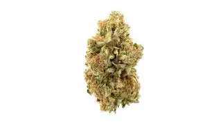 Passion Fruit CBD