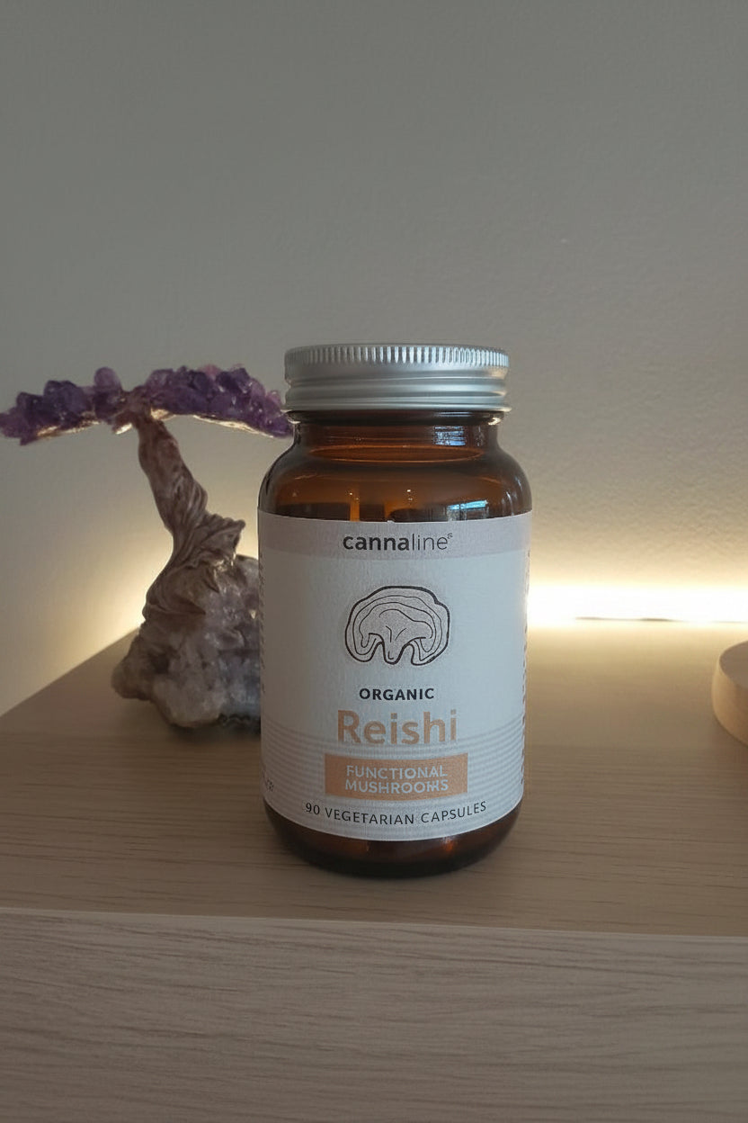 Reishi Cápsulas | Hongo Adaptógeno